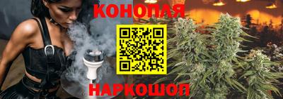 spice Краснознаменск