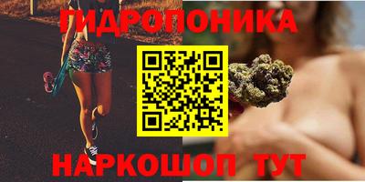 сатива Краснокаменск