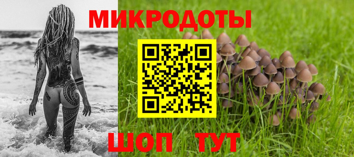Галлюциногенные грибы прущие грибы  Псилоцибиновые грибы Psilocybe  Вход с VPN  Котельники 